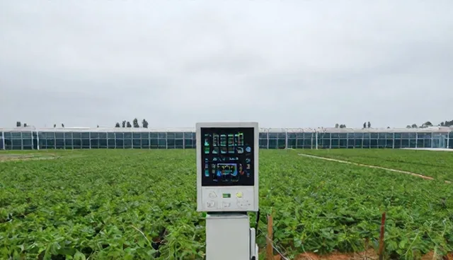 技术优化：中小客户方案设计常见问题分析
